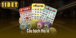 Cầu bạch thủ lô