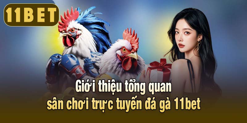 Giới thiệu tổng quan sân chơi trực tuyến đá gà 11bet