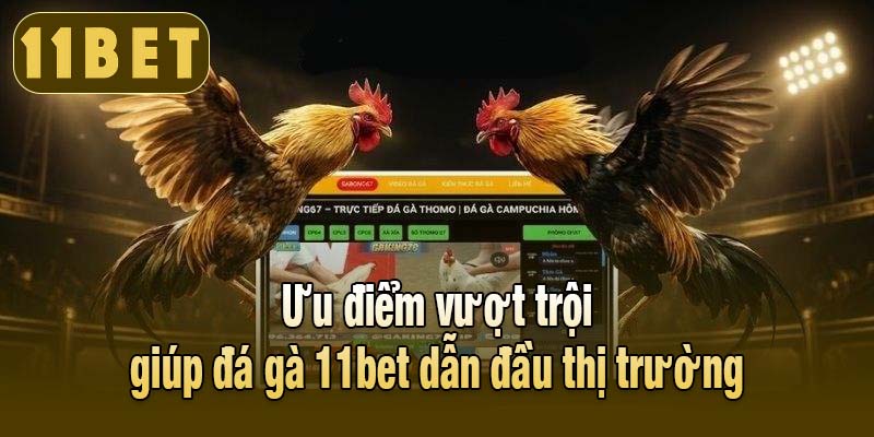 Ưu điểm nổi bật của đá gà 11bet so với thị trường