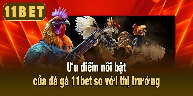 Ưu điểm vượt trội giúp đá gà 11bet dẫn đầu thị trường
