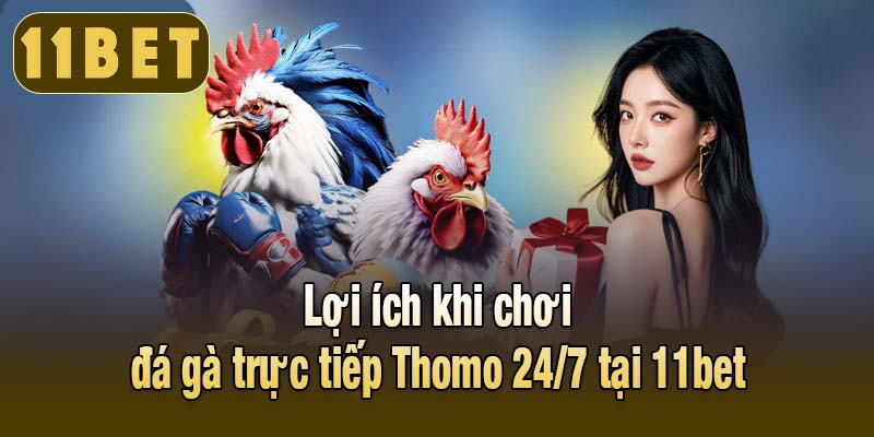 Lợi ích khi chơi đá gà trực tiếp Thomo 24/7 tại 11bet