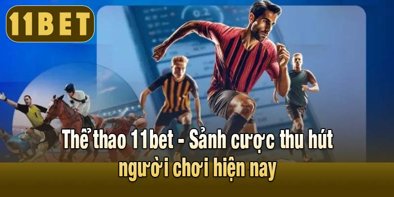 Thể thao 11bet - Sảnh cược thu hút người chơi hiện nay
