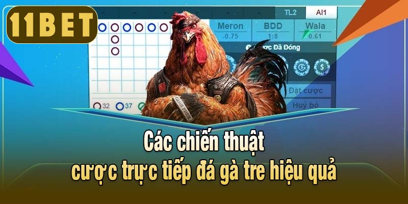 Các chiến thuật cược trực tiếp đá gà tre hiệu quả