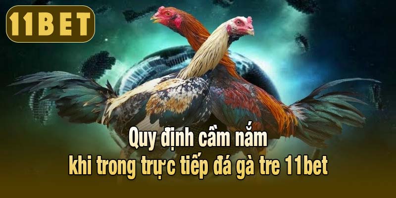 Quy định cầm nắm khi trong trực tiếp đá gà tre 11bet
