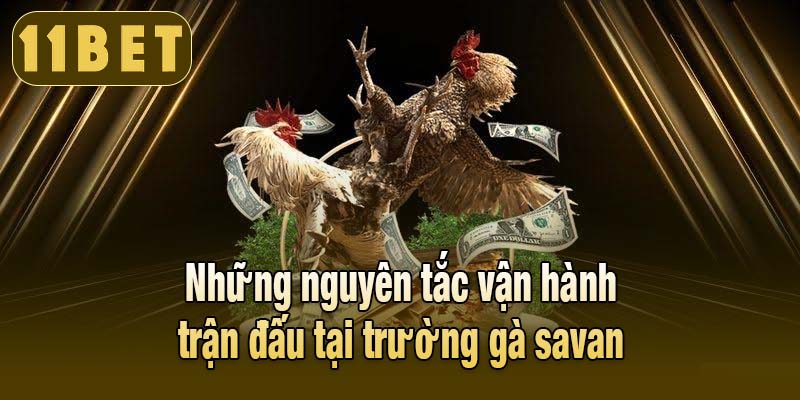 Những nguyên tắc vận hành trận đấu tại trường gà savan